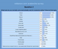 Backcountry skiing avalanche survey