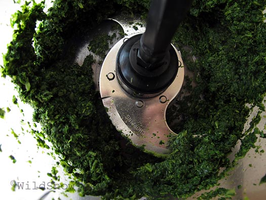 Food processor pureeing the nettles