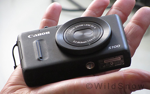 Canon S100 is palm sized, light at 6.8 oz, 192 gr. 5x zoom is adequate. 