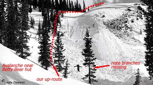 The slope and our route. Terrain features and a few missing tree branches indicate danger, but the slope is so small...