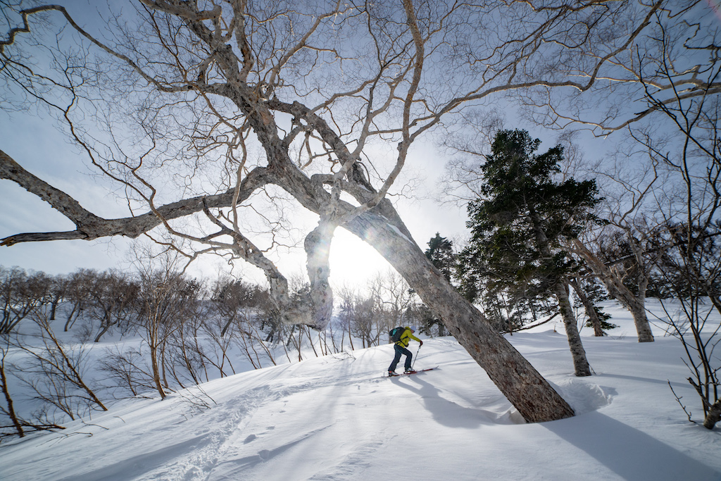 Allure of Japan's powder snow a growing danger as more tourists ski  backcountry