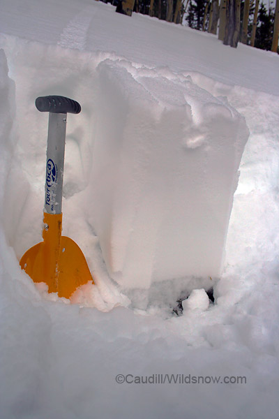 Sketchy CO snowpack: 2 feet of powder, 8 inches of sugar, then dirt.