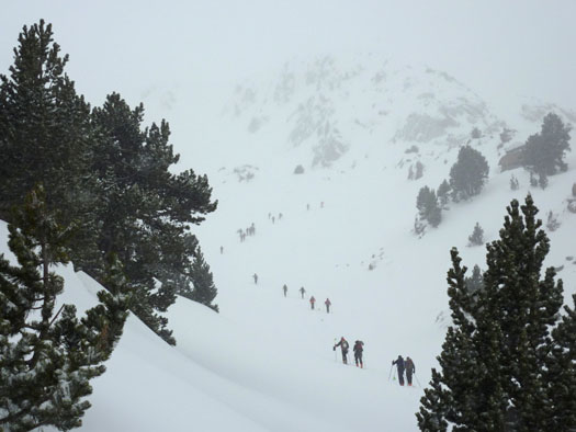 Volunteers, backcountry skiing racing.