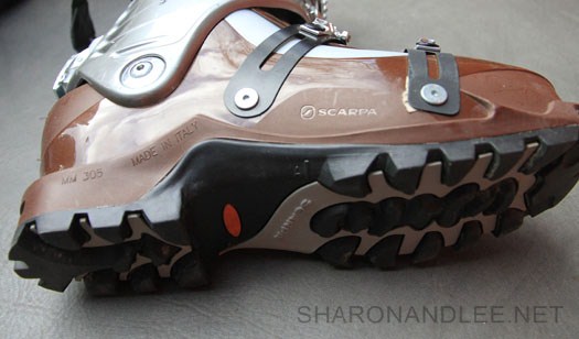 Scarpa Mobe for backcountry skiing.