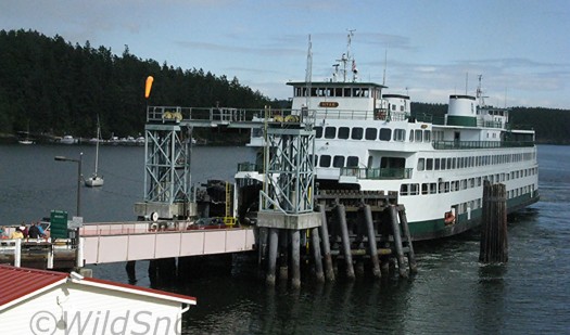 Ferry dock at Orcas Island.