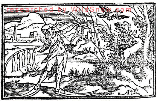 Ancient backcountry skiing, Olaus Magnus.