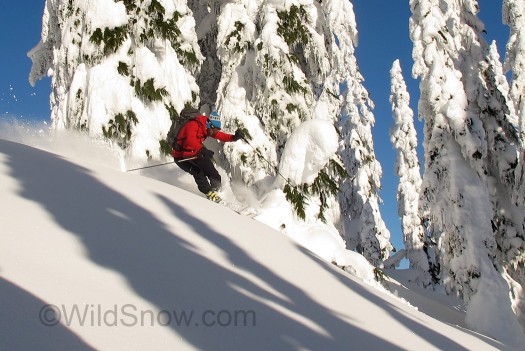 Woody Dixon finds yet another patch of untracked Cascadian whiteness.