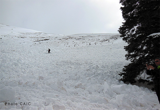 Sheep Creek avalanche debris field. Can you imagine coming on this scene, knowing at least five people are buried. I can barely wrap my head around it. Photo from Colorado Avalanche Information Center, used for educational purposes.