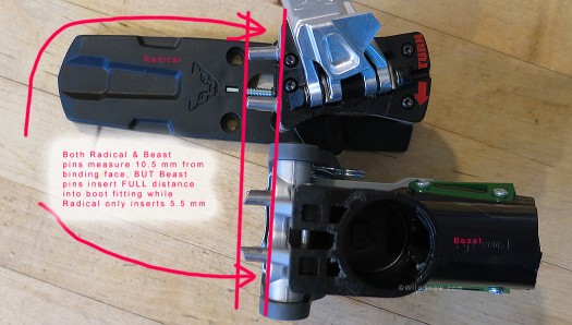 Comparison of Dynafit Radical and Beast bindings, rear heel unit pin lengths are the same. But Beast pins insert fully into boot while Radical pins do not, due to required gap between boot and binding.