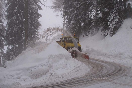 As we head up the farmers' road, the road gets cleared.  We're excited to see the snow!