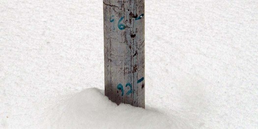 Snow depth is 92 inches at the study plot. 