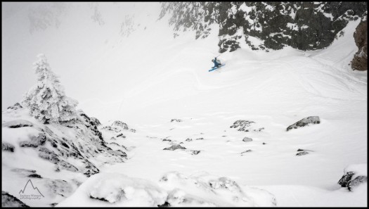 Bacon-powered powder skiing: Yaks in their natural environment