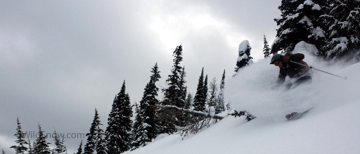 Skyler finding some deep snow in the trees above high camp