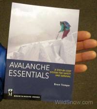 Bruce Tremper book Avalanche Essentials is a dashboard sized.