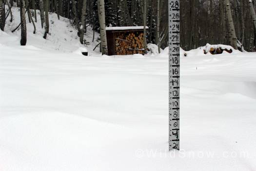 Fresh snow falling at WildSnow Field HQ in Marble, CO.