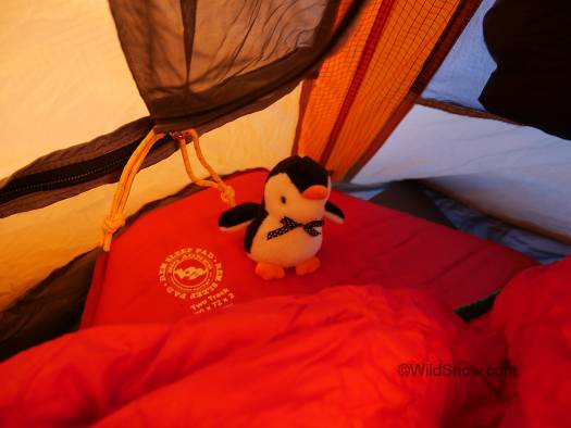 BA pad and expedition mascot Paco the penguin.