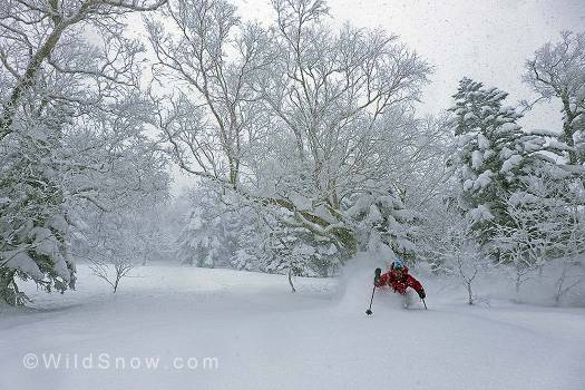 So this is what all the this JAPOW hype is all about!