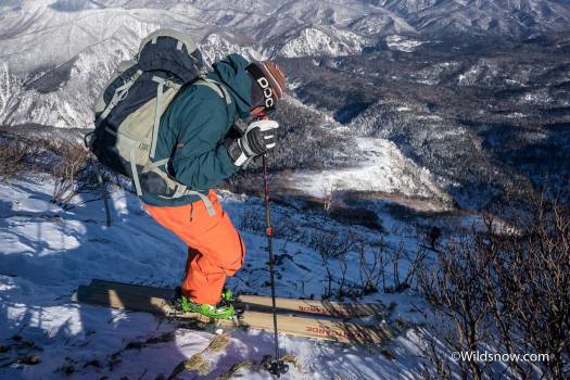 Mako making his way through the frozen bushes off the summit.