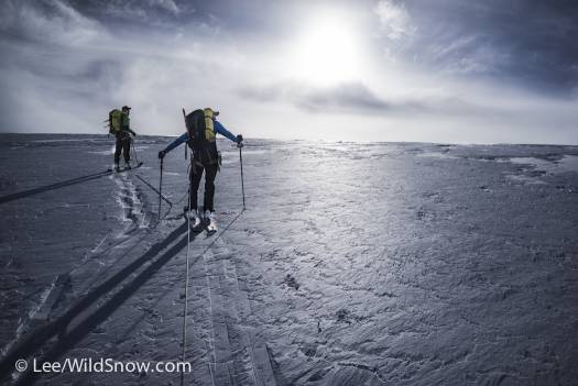 Ski touring high on the Wapta gives one a distinct feeling that the ice age still has a few final holdouts in the mountains of the north.