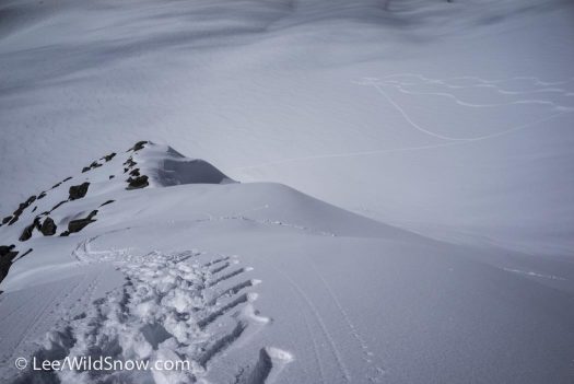 Looking down a steep north-facing line full of AK pow.