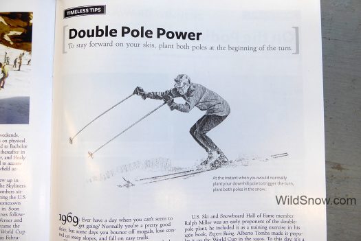 Double pole plant was viable in the 1960s, what about now?