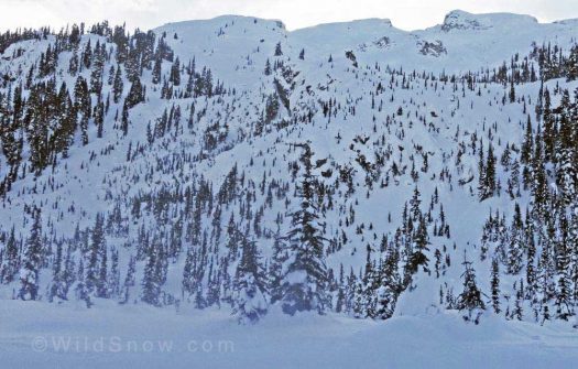 Looking back at the slope we skied towards Journeyman Ridge. We skied a route called FMG. See below for run pics.