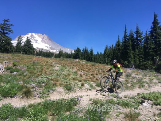 Starting 4,700 feet of biking after skiing 4,000 of summer snow.