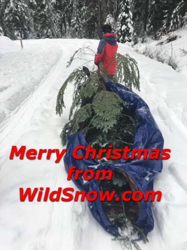 Merry Christmas from WildSnow, 2017