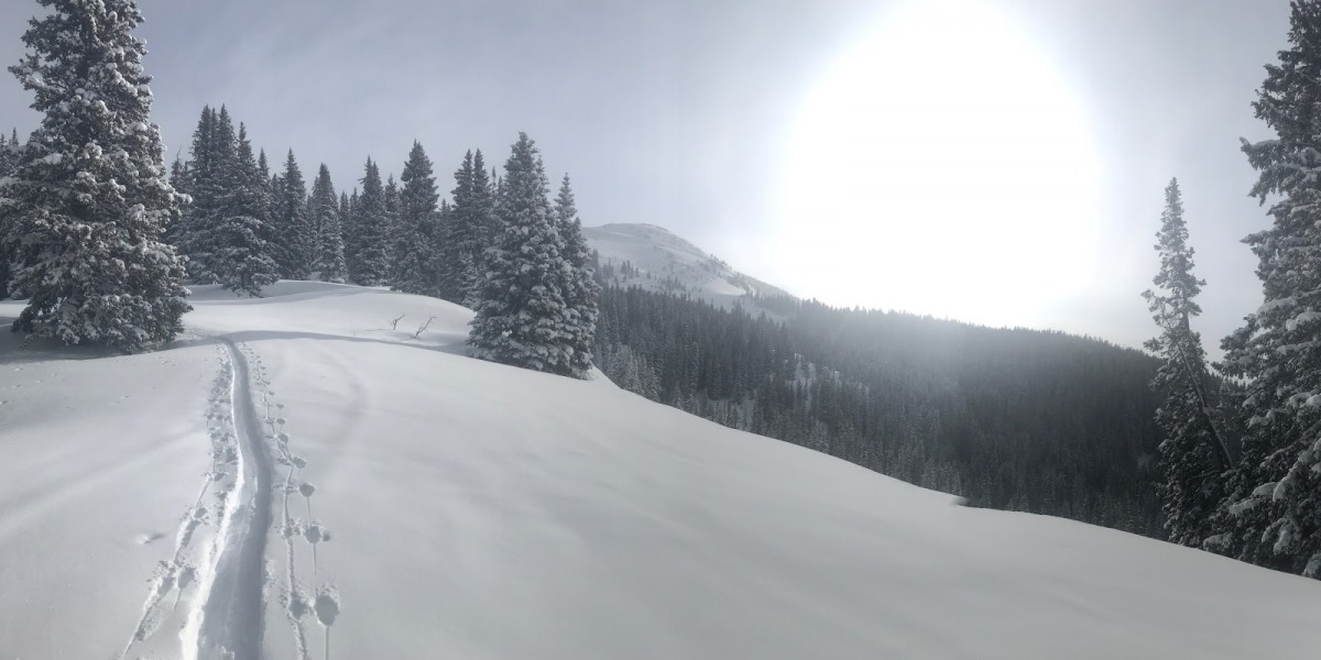Fat powder touring skis render this mellow slope into a powder playground