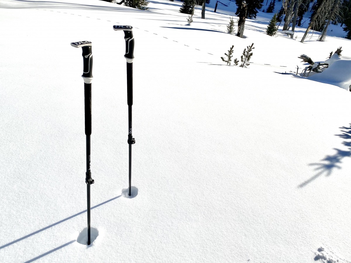 The newly redesigned BCA Scepter poles.