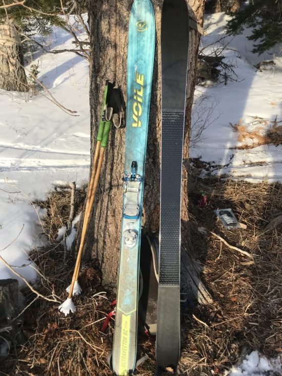 Low-angle, low tide exploration through brushy thickets capitalizes on the strengths of the Vector BC. When conditions are less than stellar, these skis open up options that would otherwise be impractical. 