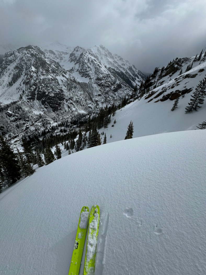 POV shot of skis at the top of a backcountry descent